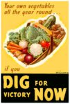 1943 Your own vegetables all year round... if you Dig For Victory Now
