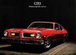 1974 Pontiac GTO. Pontiac's tough little road car