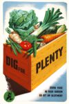 1939 Dig For... Plenty. Grow Food In Your Garden Or Get An Allotment