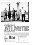 1965 this summer steer for the really big ones in Canada's Atlantic Provinces